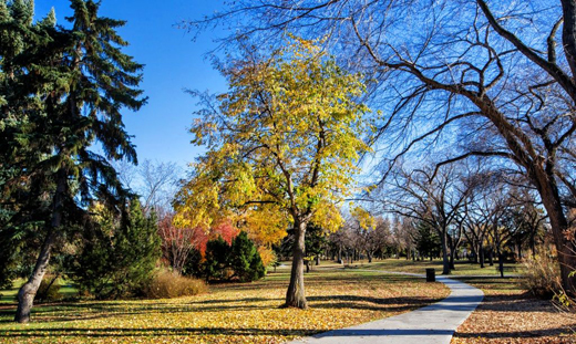 Borden Park, in northwest Edmonton, at 148 acres one of the city's largest parks