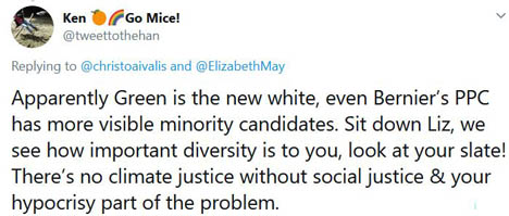 Only 12% of Green Party candidates running in the 2019 Canadian federal election are visible minorities.