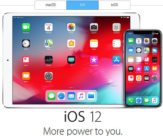 Apple's iOS 12 Beta sign up procedure