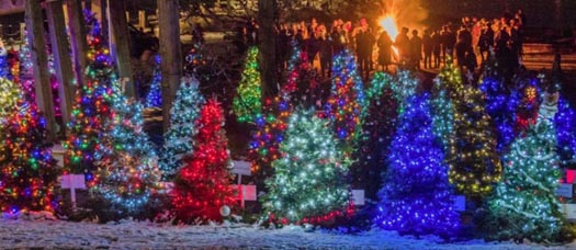 Guide to Holiday Lights Display 2020 | Dundarave Festival of Lights | West Vancouver