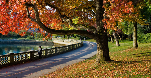Vancouver's crown jewel, the 1000 acre Stanley Park, an autumn picture of the seawall