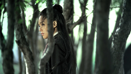 The Assassin | Director, Hou Hsiao-hsien