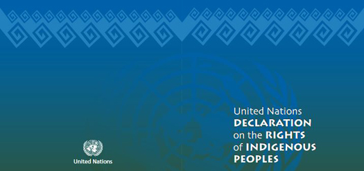 Cover of the UNDRIP - United Nations Declaration on the Rights of Indigenous Peoples