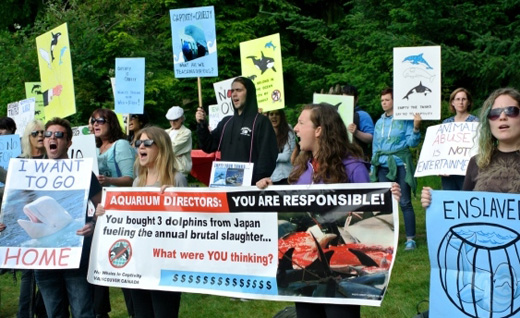 Residents Oppose Cetaceans in Captivity at the Vancouver Aquarium, July 2014