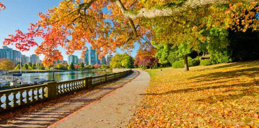 Vancouver on a sunny autumn day, in Stanley Park